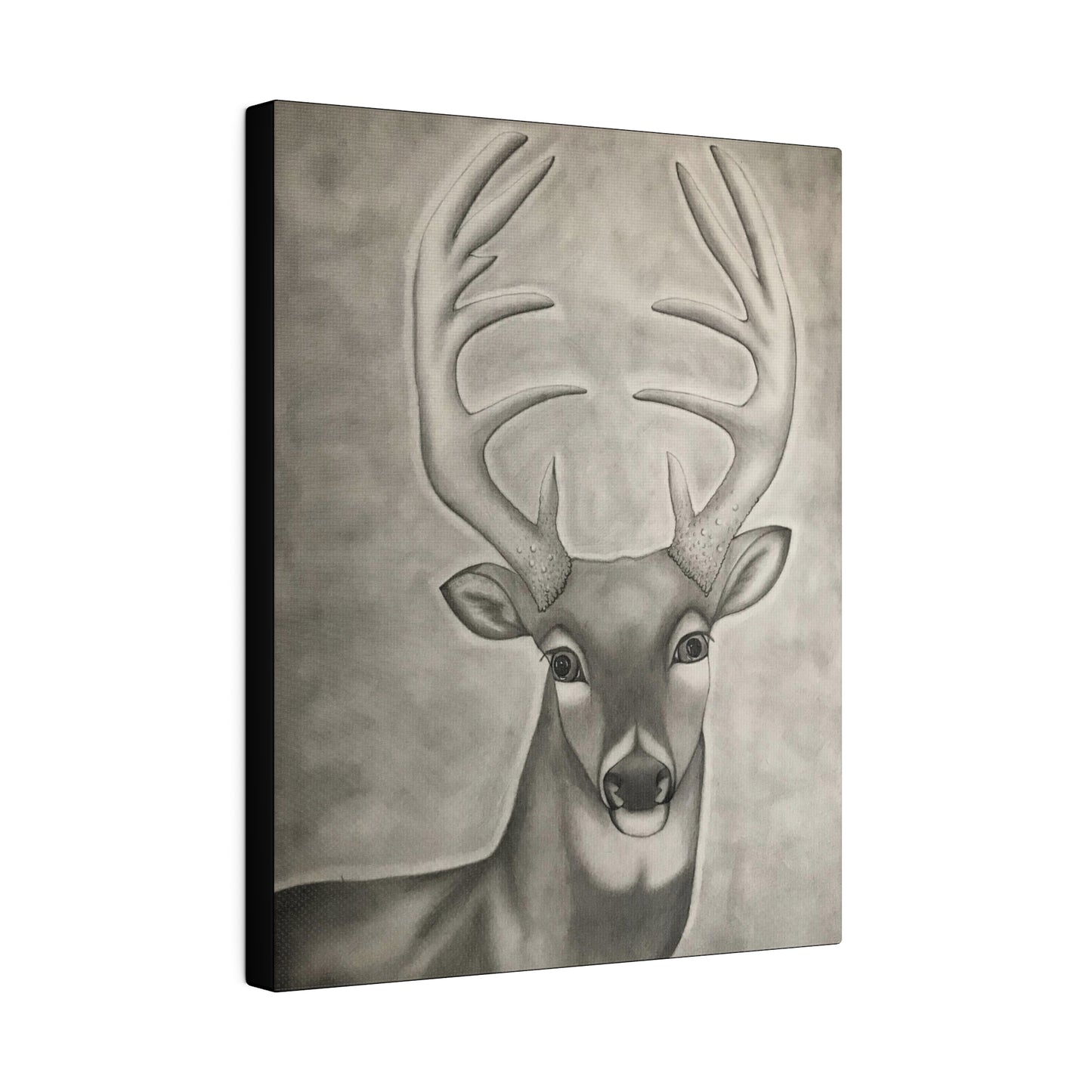 Whitetail Deer, Matte Canvas, Stretched, 0.75"