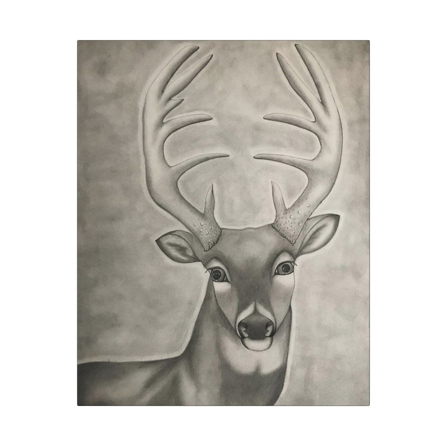 Whitetail Deer, Matte Canvas, Stretched, 0.75"