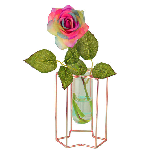 Glass Tube Flower Vase